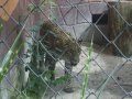 IMGP0854.JPG